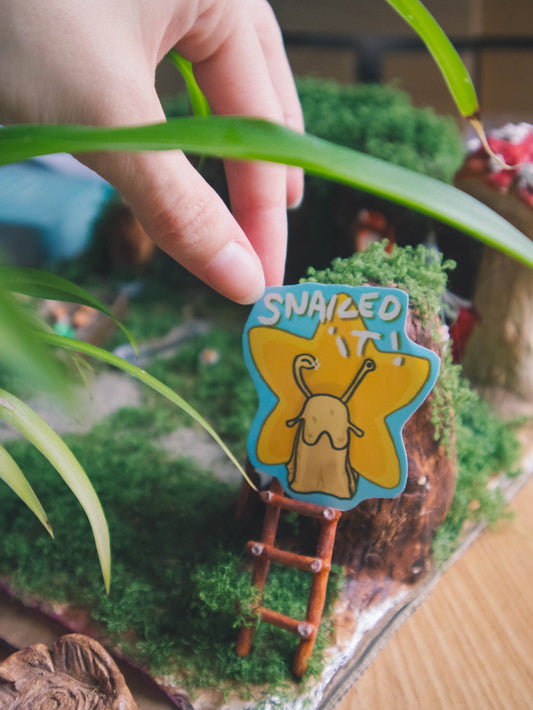 Snailed it! Star Snail sticker