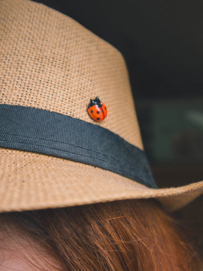 Ladybug Pin
