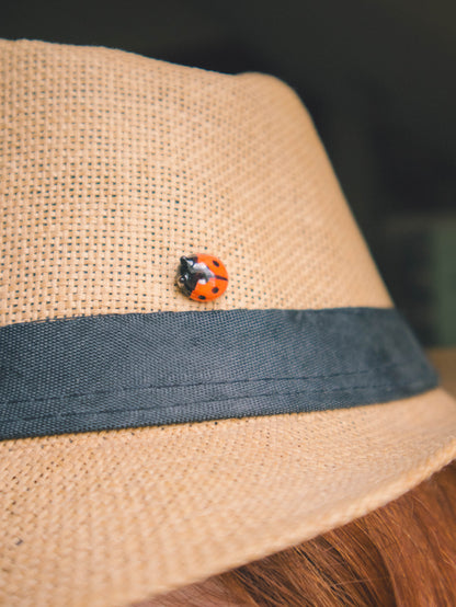 Ladybug Pin