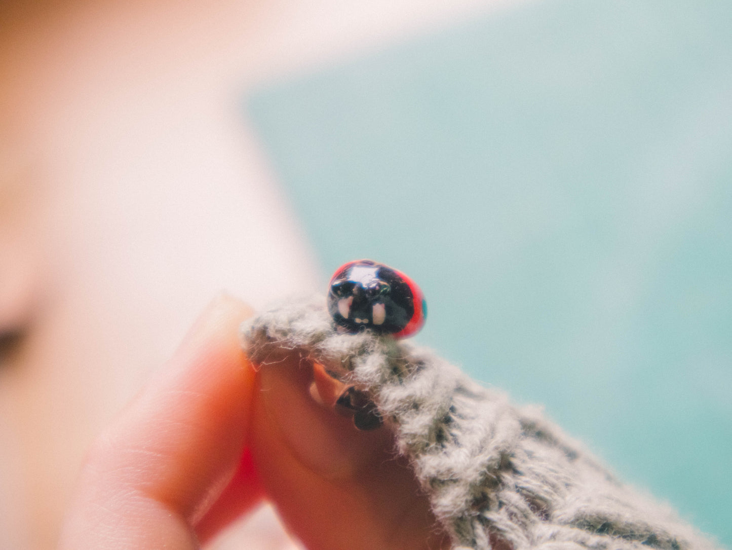 Ladybug Pin