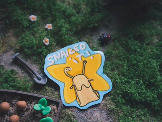 Snailed it! Star Snail sticker