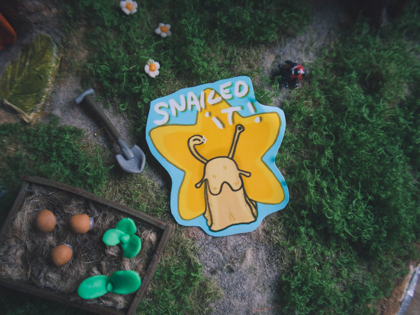 Snailed it! Star Snail sticker