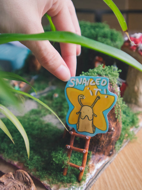 Snailed it! Star Snail sticker