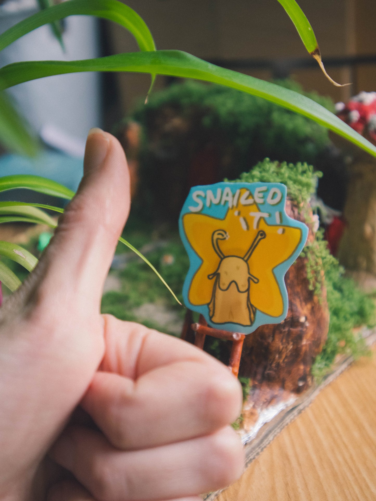 Snailed it! Star Snail sticker