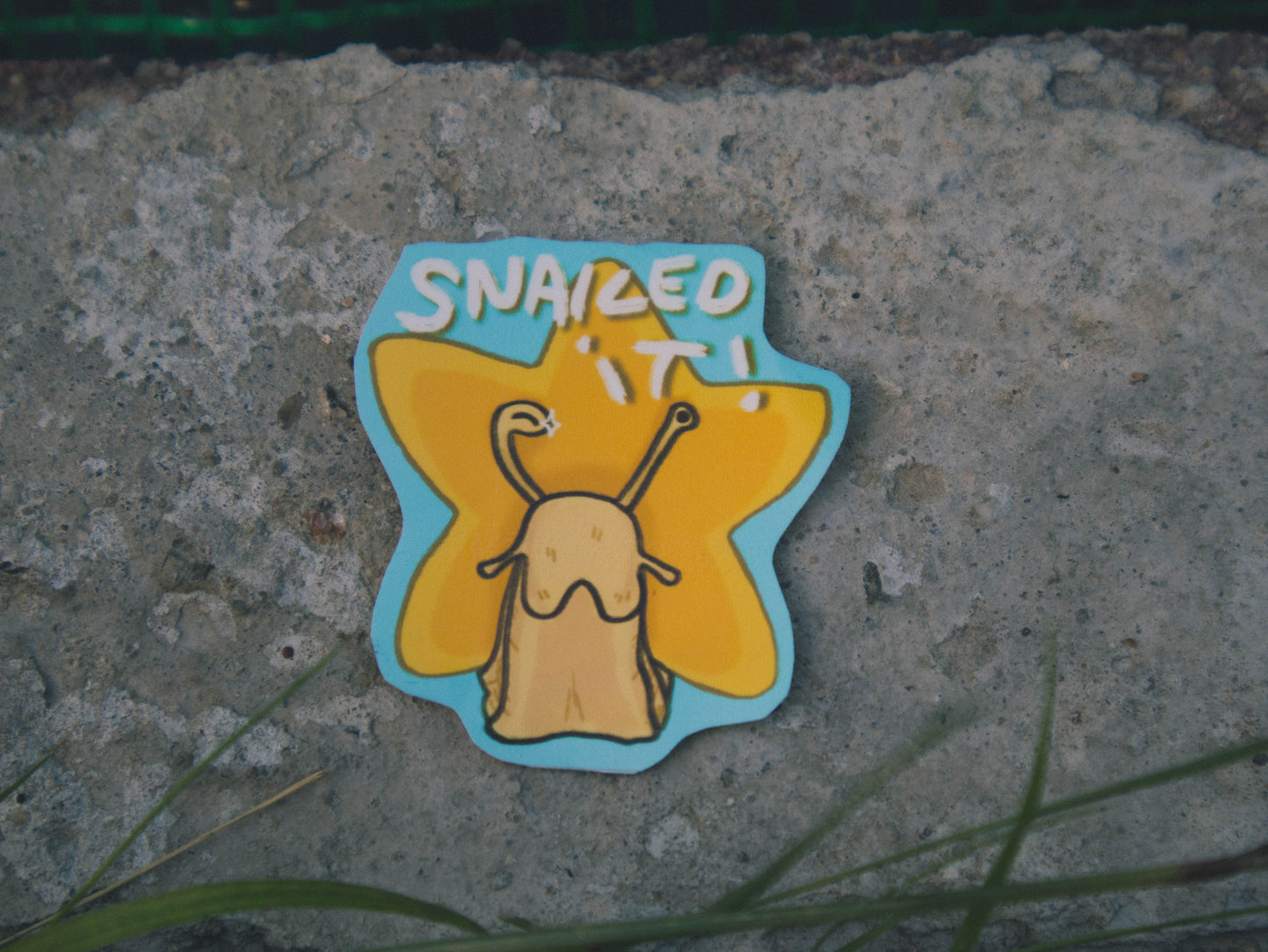 Snailed it! Star Snail sticker