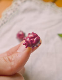 Bug Tiny Companion Pins