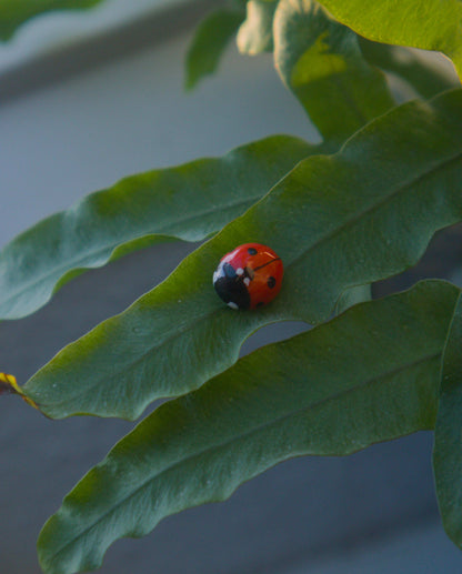Ladybug Pins