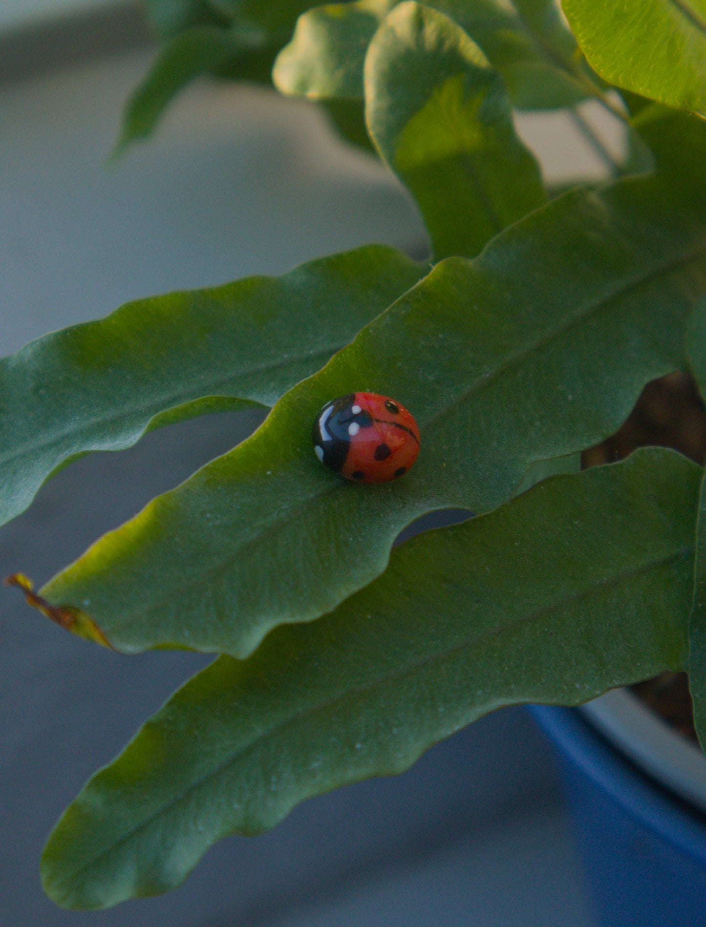 Ladybug Pins