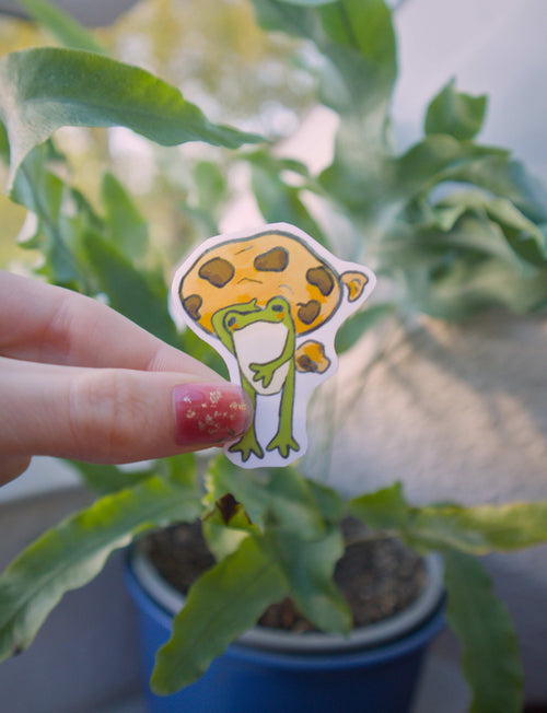 Cookie Frog Sticker