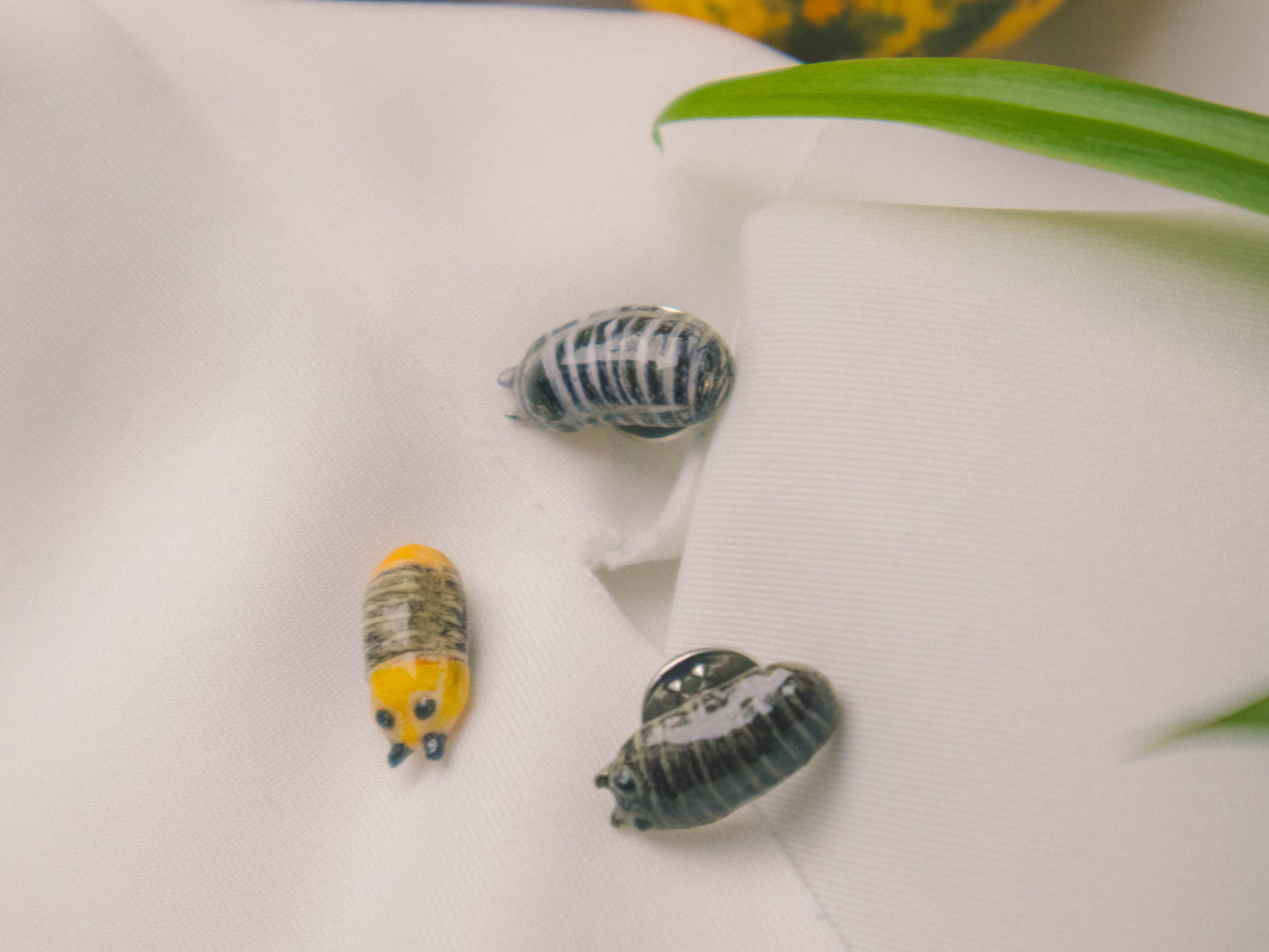 Roly Poly Isopod Pins