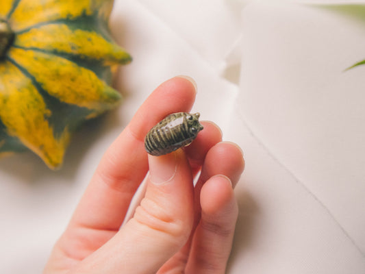 Roly Poly Isopod Pins