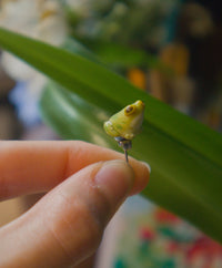 Tiny Frog Stud Earring