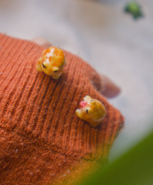 African Rain Frog Pin