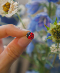 Tiny Ladybug Stud Earring