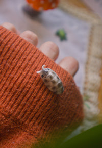 Roly Poly Isopod Pin