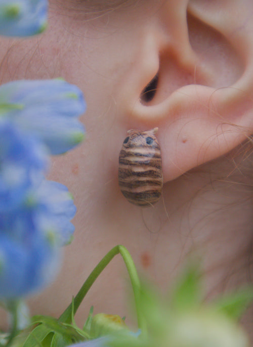 Isopod Stud Earring