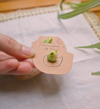 Green Frog and Brown Toad Pin
