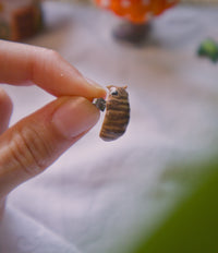 Isopod Stud Earring