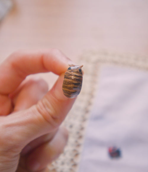 Isopod Stud Earring
