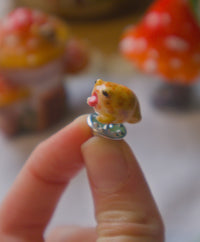 African Rain Frog Pin